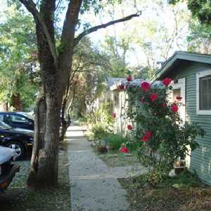 Cottage-6